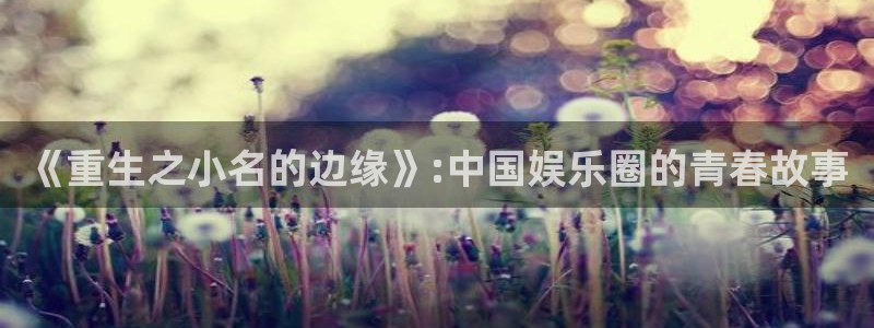 辉达注册